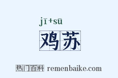 鸡苏是什么意思的图片